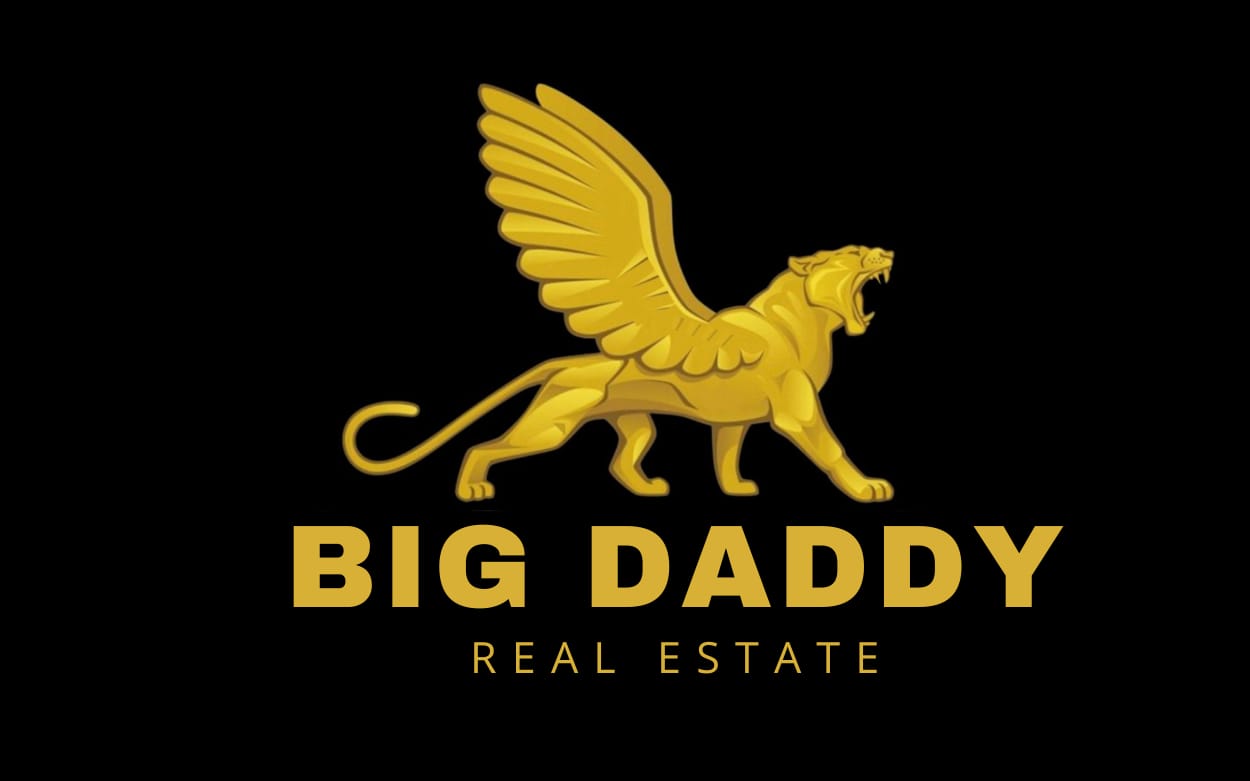 Big Daddy Real Estate