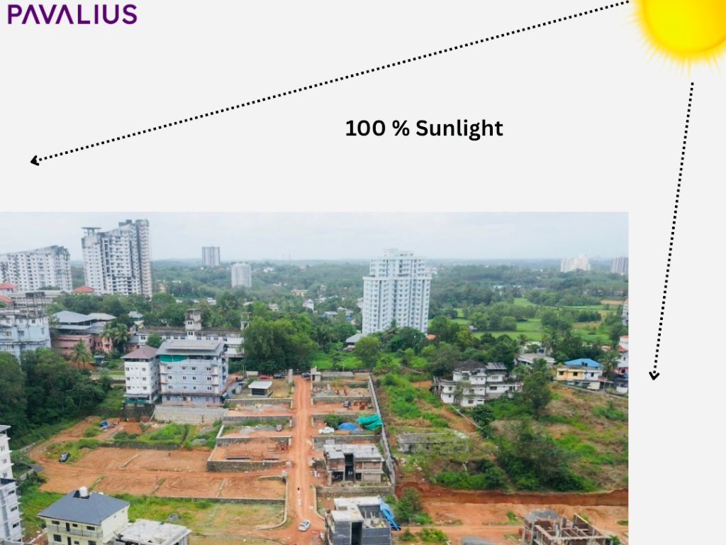 Pavalius Homes