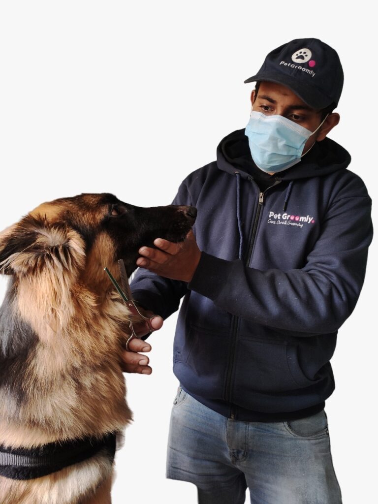 Pet Groomly