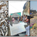 Rudra Solar Energy Pvt. Ltd.