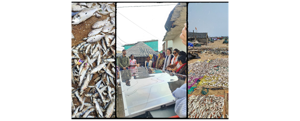 Rudra Solar Energy Pvt. Ltd.